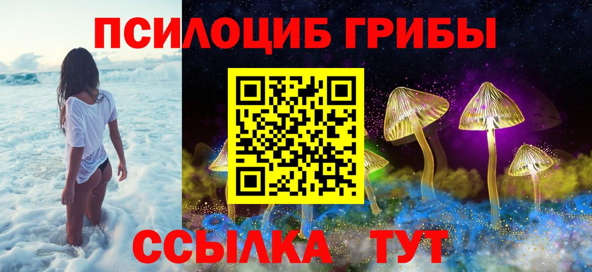 Псилоцибиновые грибы Psilocybe Рузаевка