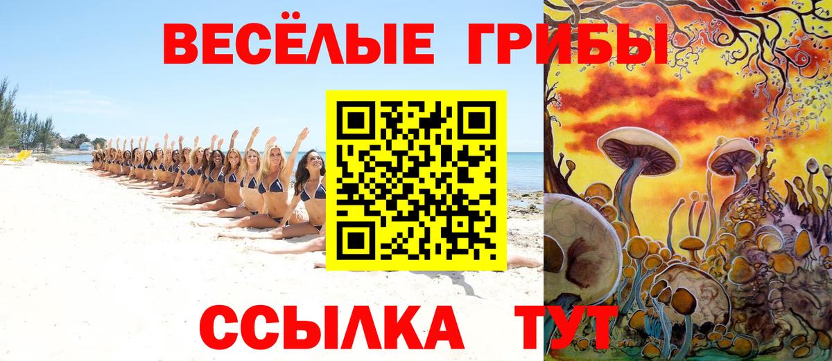 Галлюциногенные грибы Psilocybine cubensis  Вход с VPN  Рузаевка  Галлюциногенные грибы Magic Shrooms 